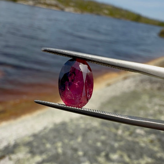 Winza bicolour Ruby gemstone held by tweezers with a natural landscape in the background