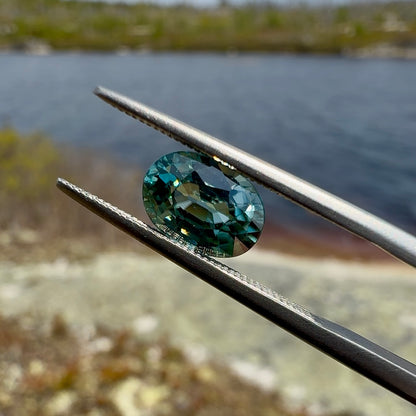 2.46ct Zircon