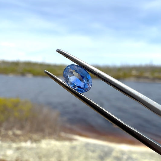 1.05ct Bicolour Sapphire