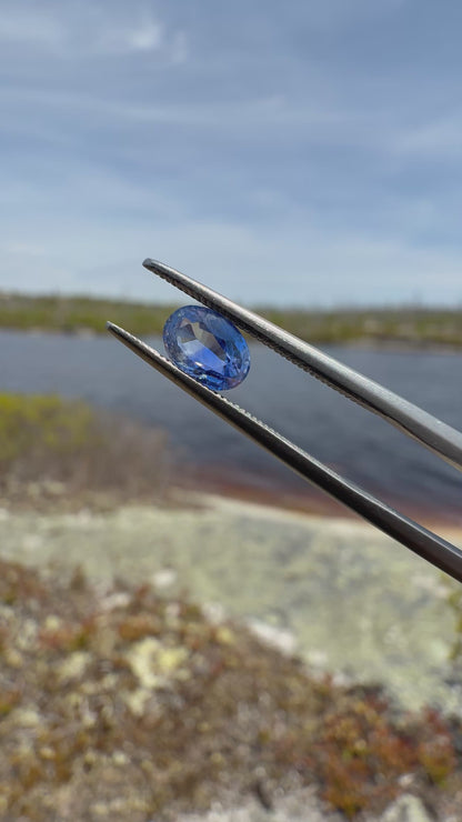 1.05ct Bicolour Sapphire